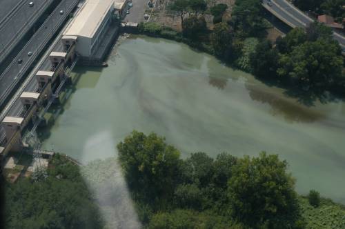 Il Tevere si tinge di scuro 
Carabinieri: è mucillagine
