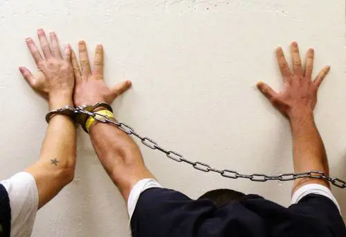 L’uomo da 4mila denunce. Ma era sempre libero