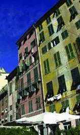 Quel giardino ridotto a savana africana