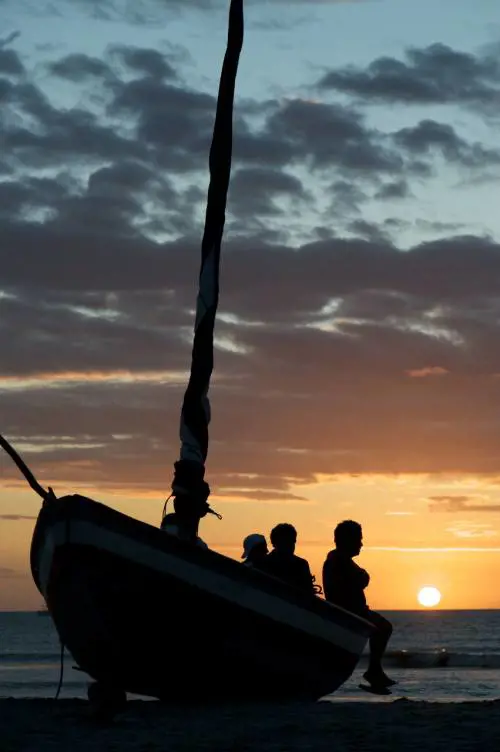 La migrazione dei Guarà 
sul delta di Paraiba