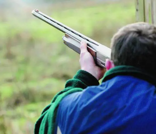 Cecchino per gioco Spara a un bidone centra un automobilista