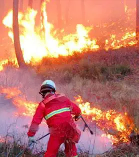 Incendi e paura in Liguria, Versilia e Campania 