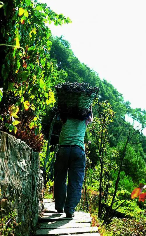Il miracolo del «Parco» nato da unintuizione che nessuno sa copiare