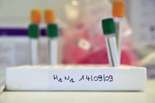 Influenza A, scuola: 
"Meglio restare a casa 
quando si è malati"