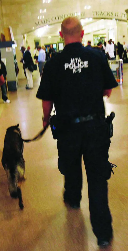 Berlusconi: «Restiamo a Kabul» Sventato attentato a New York