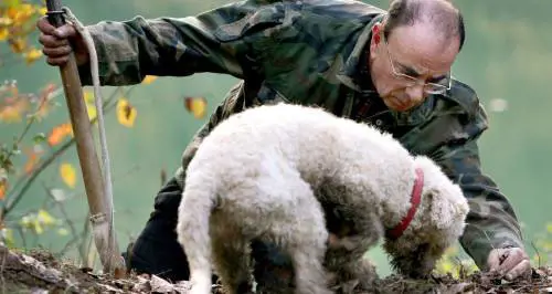 Alla riscoperta dei tabarri tutti a bordo di un treno a vapore