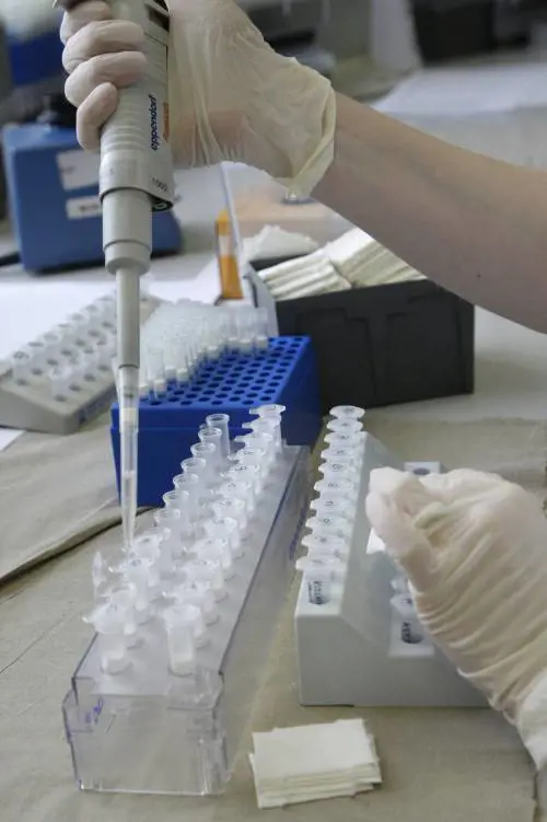 Inflenza A, Fazio: già pronti 500mila vaccini