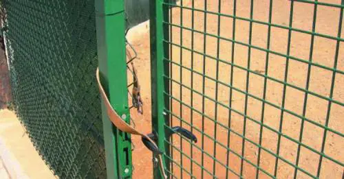 Genova: cè anche la lista di attesa per abbandonare Fido al canile