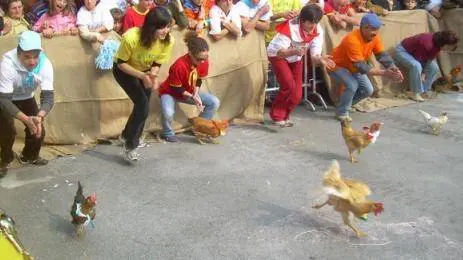 Basta cavalli: ora il palio è una sfida tra gallinelle
