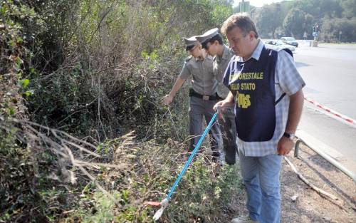 A Castelfusano un safari strisciante per cercare altri serpenti a sonagli