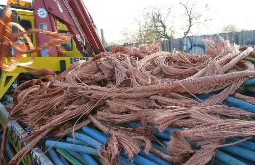 Così i rom vanificano il lavoro dellAma