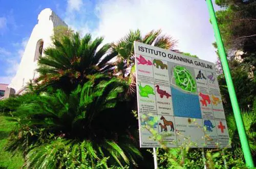 Al Gaslini si respira aria di casa e si cura lanima