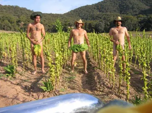 Gb, un B&B per nudisti in campagna 
Un successo, ma i vicini protestano