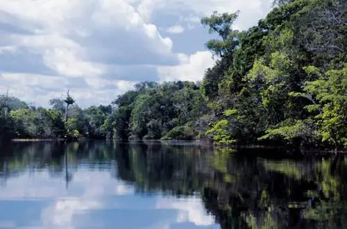 Amazzonia, svolta ambientale: 
"Niente più terre agli stranieri"