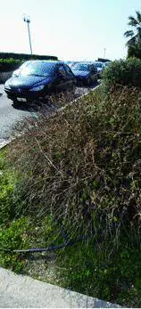 Il ritorno del bigliettaio per eliminare i «portoghesi»