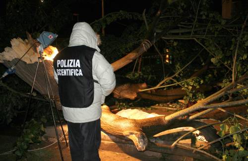 Nubifragio a Palermo, 
morto un ventisettenne 
schiacciato da un ramo