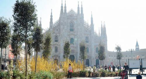 Milano, l’ultima follia degli architetti un bosco in piazza Duomo