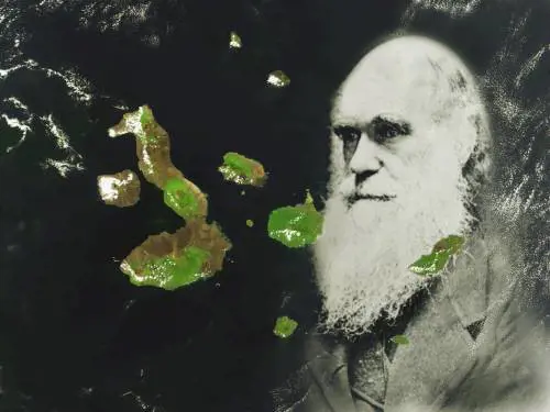 Zittite il Creazionista.  La libertà d’opinione non è uguale per tutti