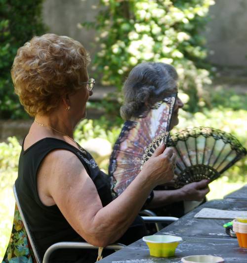 Inps, crollano le pensioni di anzianità: dimezzate