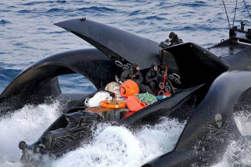 Speronato il trimarano 
che combatte le baleniere 
Il filmato dell'attacco