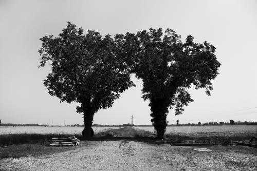 Vivere umano e paesaggi 
nel solco del quotidiano