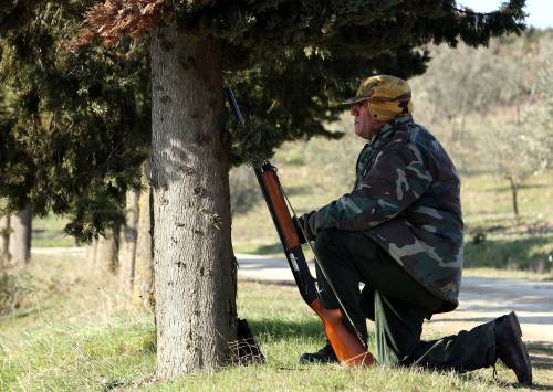 Calendario della caccia: 
a Regioni libertà di deroga 
L'ira della Prestigiacomo