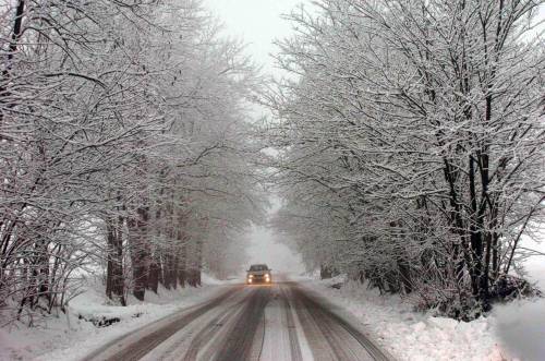 Neve e pioggia, un morto e un disperso per una valanga sul monte Baldo