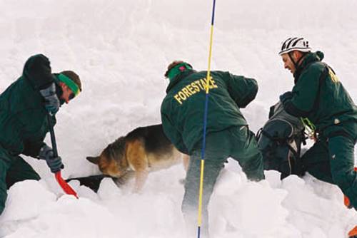 Valanghe, weekend nero in montagna: 8 morti