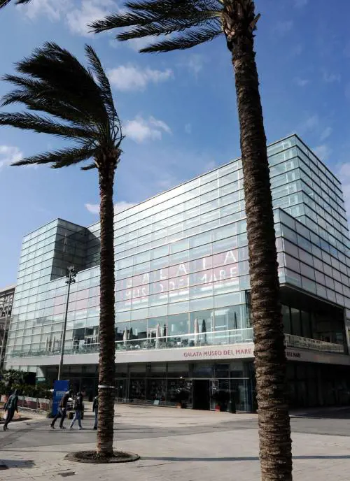 Nella palestra del cuore si cammina col naso allinsù