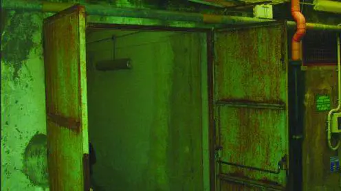 Ottantamila euro per la palestra con la muffa