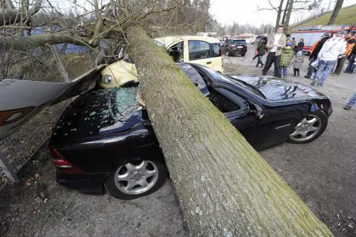 Francia, tempesta Xynthia 
Inondazioni e distruzione 
Sono almeno 53 le vittime