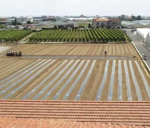 Teatro in scena nella serra