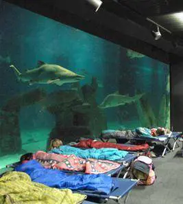 Basta lAcquario «lager» per far vincere la destra