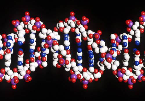 Nasce la vita artificiale: 
la cellula in laboratorio 
Cnr: "Non ha futuro"