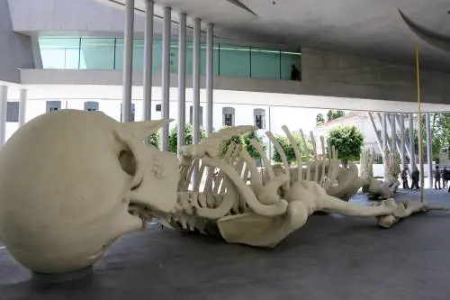 Bello ed esagerato come un ottovolante