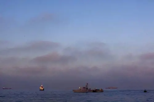 Rachel Carrie verso Gaza 
L'allarme degli attivisti: 
"Persi tutti contatti radio"