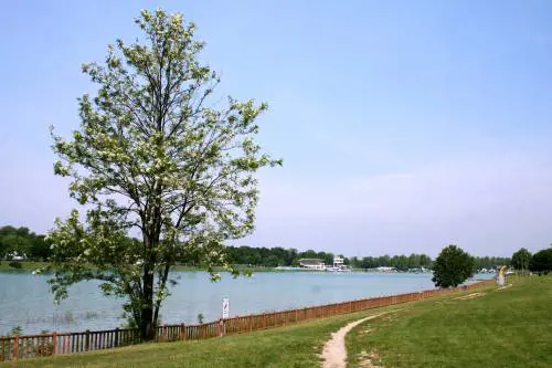 Idroscalo, un'oasi a Milano per tutte le famiglie