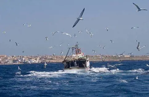 Libia, sequestrati tre motopesca