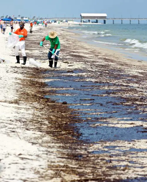 Marea nera, Obama 
parlerà all'America 
Bp, fondo per indennizzi