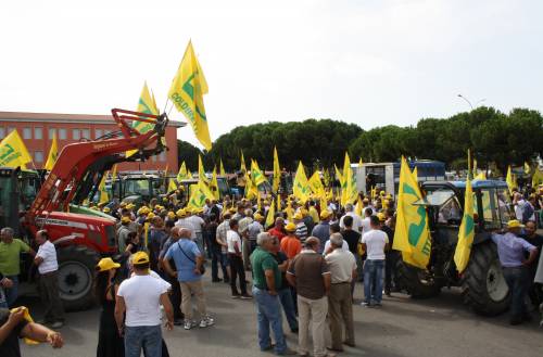 Pastori sardi in rivolta: 
da Alghero non si vola 
Occupato l'aeroporto