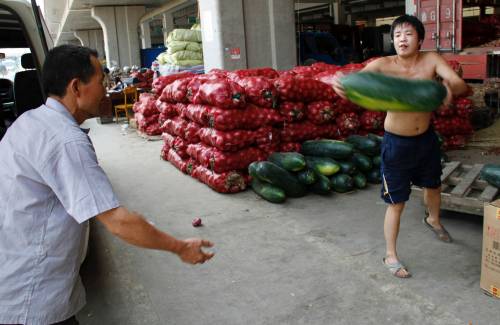Tutti pomodori cinesi: colpiti i nostri contadini