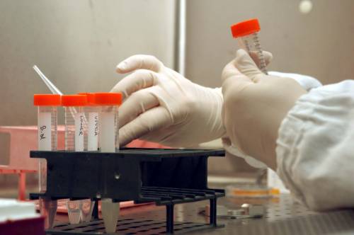 Cecos: entro la fine di luglio le prime fecondazioni eterologhe