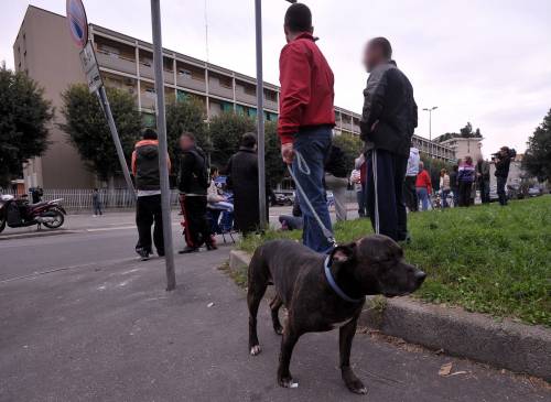 Tassista pestato, il teste: 
ginocchiate in pieno volto 
Arrestati pure i 2 complici