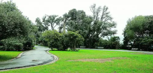 Multe da 100 a 500 euro a chi pota male il giardino
