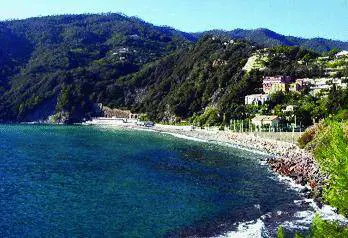 Molotov contro il Comune che gli ha aumentato laffitto