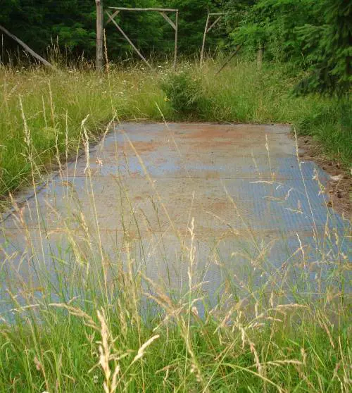 I rifiuti «ecologici» che producono solo uno spreco di risorse