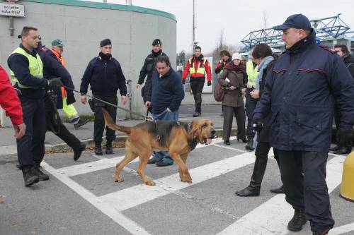 Yara, ricerche a Mapello 
Sulle tracce della 13enne  
il cane svizzero Joker