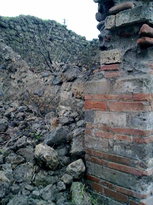 Pompei, cedono 2 muri 
La Soprintendenza: 
"Non fare allarmismi"