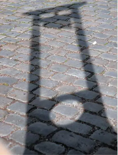 La democrazia degli intelettuali? Finisce in tirannia