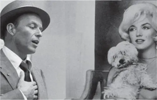 Il diario del cane più famoso di Hollywood